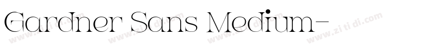 Gardner Sans Medium字体转换